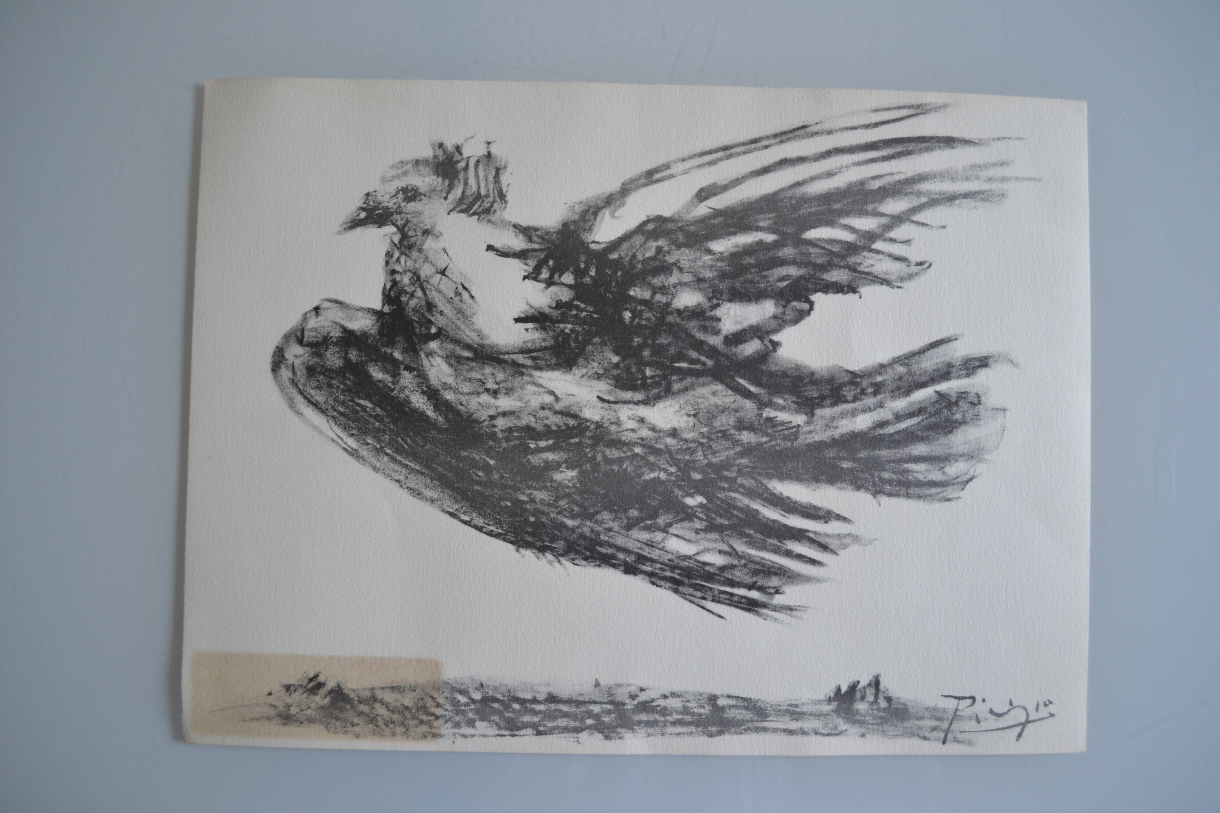Picasso Lithographie originale 1959 La colombe en vol 38x28cm