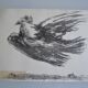 Picasso Lithographie originale 1959 La colombe en vol 38x28cm