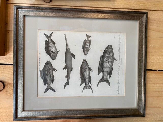 Fish engraving