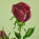 Pair of ancient lithographs of signed floral engravings to be identified