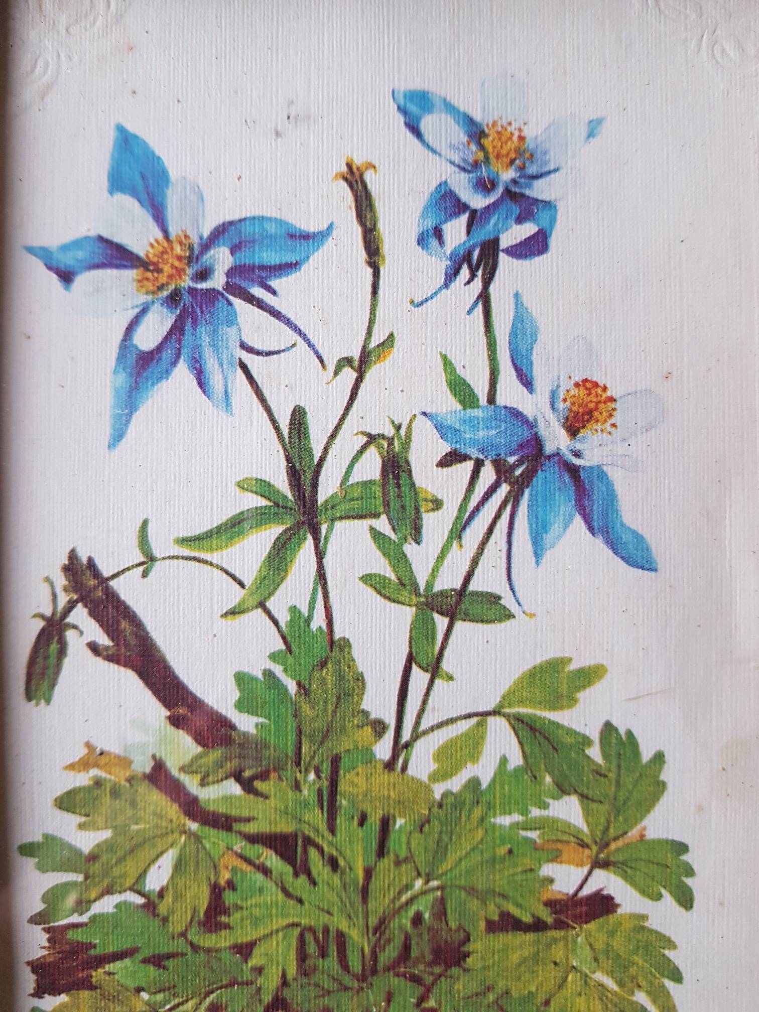 Botanical board frame