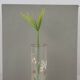 Enameled glass vase 1900