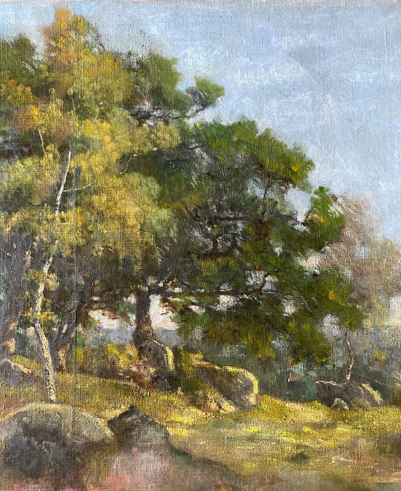 HST painting "Landscape of undergrowth" signed Léon PELLENC (1819-1894)