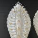 Paire d'appliques 1950 vintage