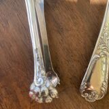 Sprinkling spoon and sugar tongs set