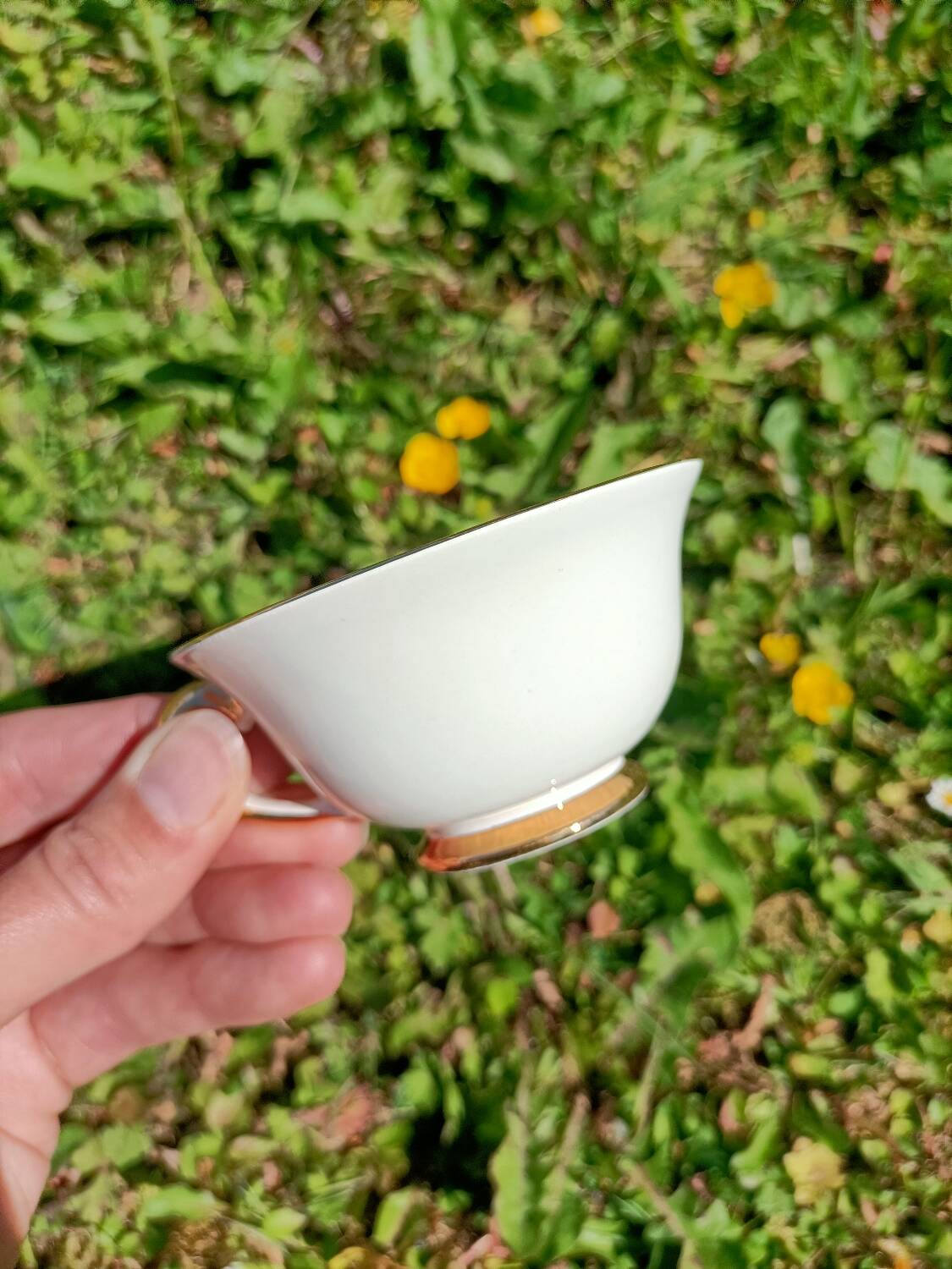 Tasses x6 - Porcelaine de Limoges
