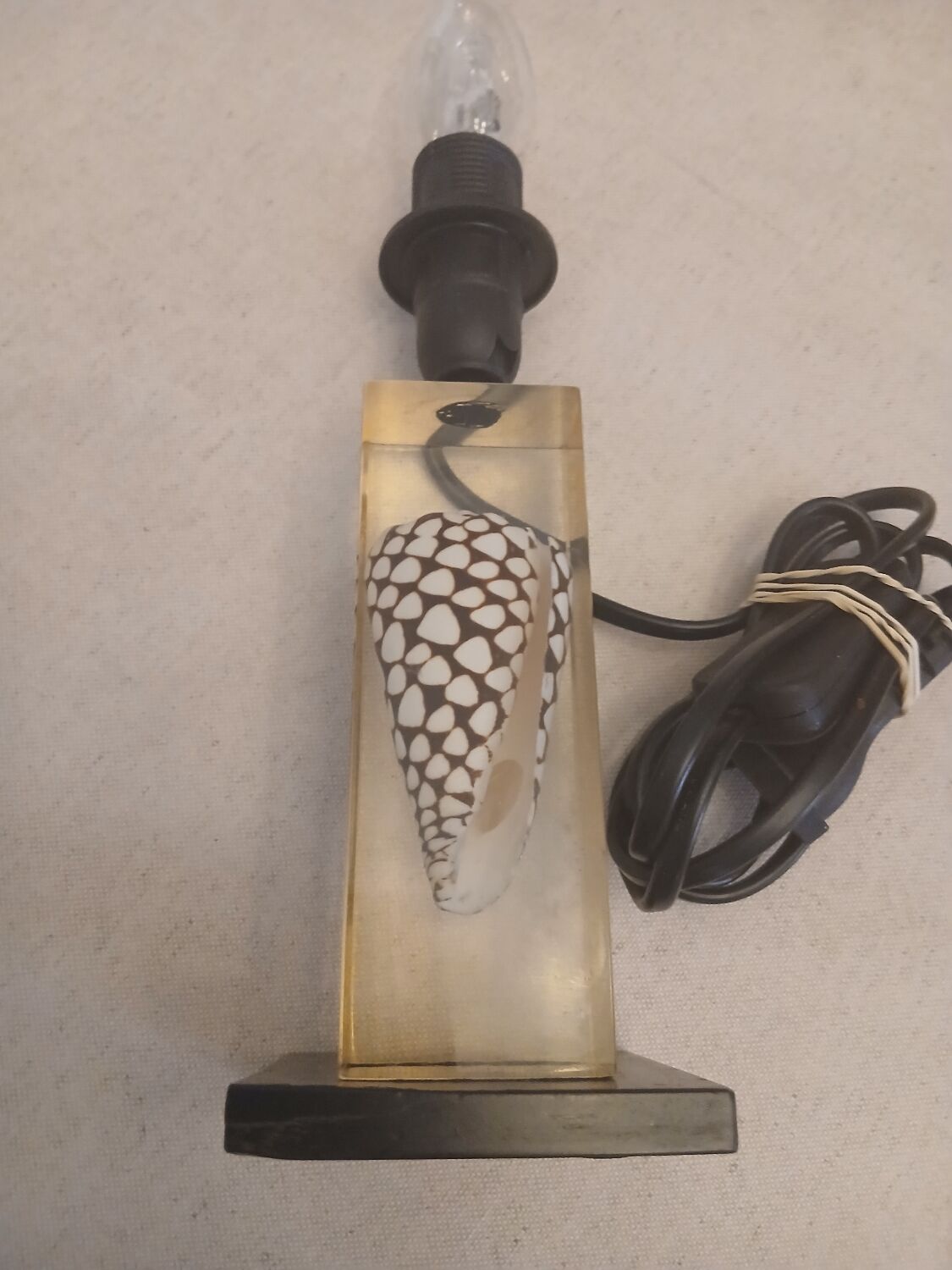 Shell inclusion lamp