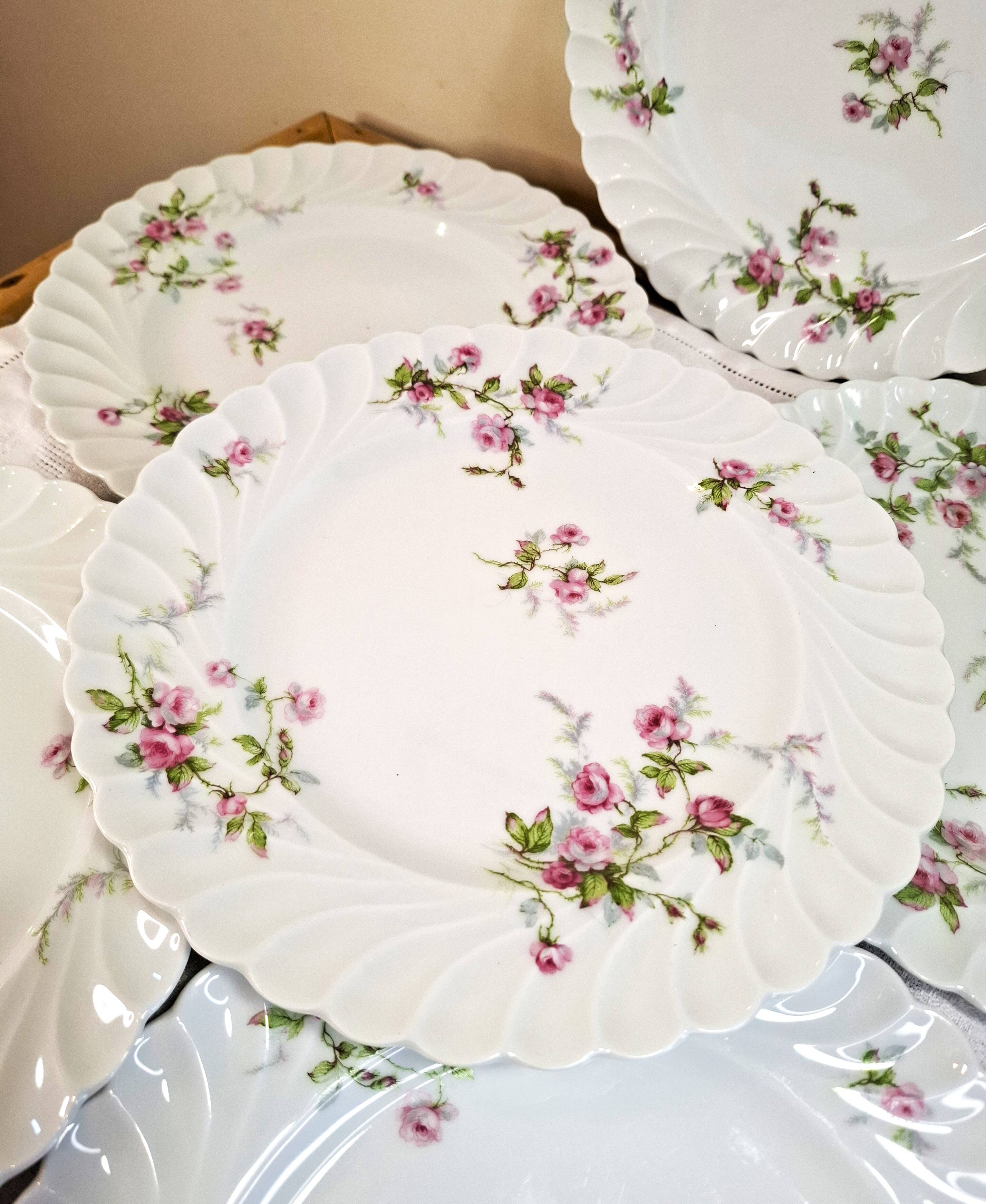Flat plates in Limoges porcelain by Haviland