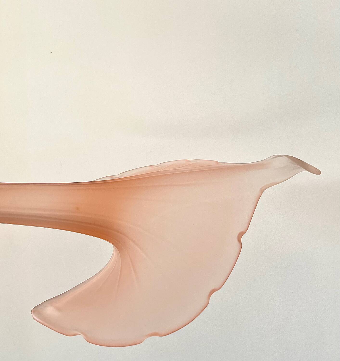 Leonardo vase in pink frosted glass