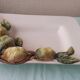 Plat en barbotine citrons