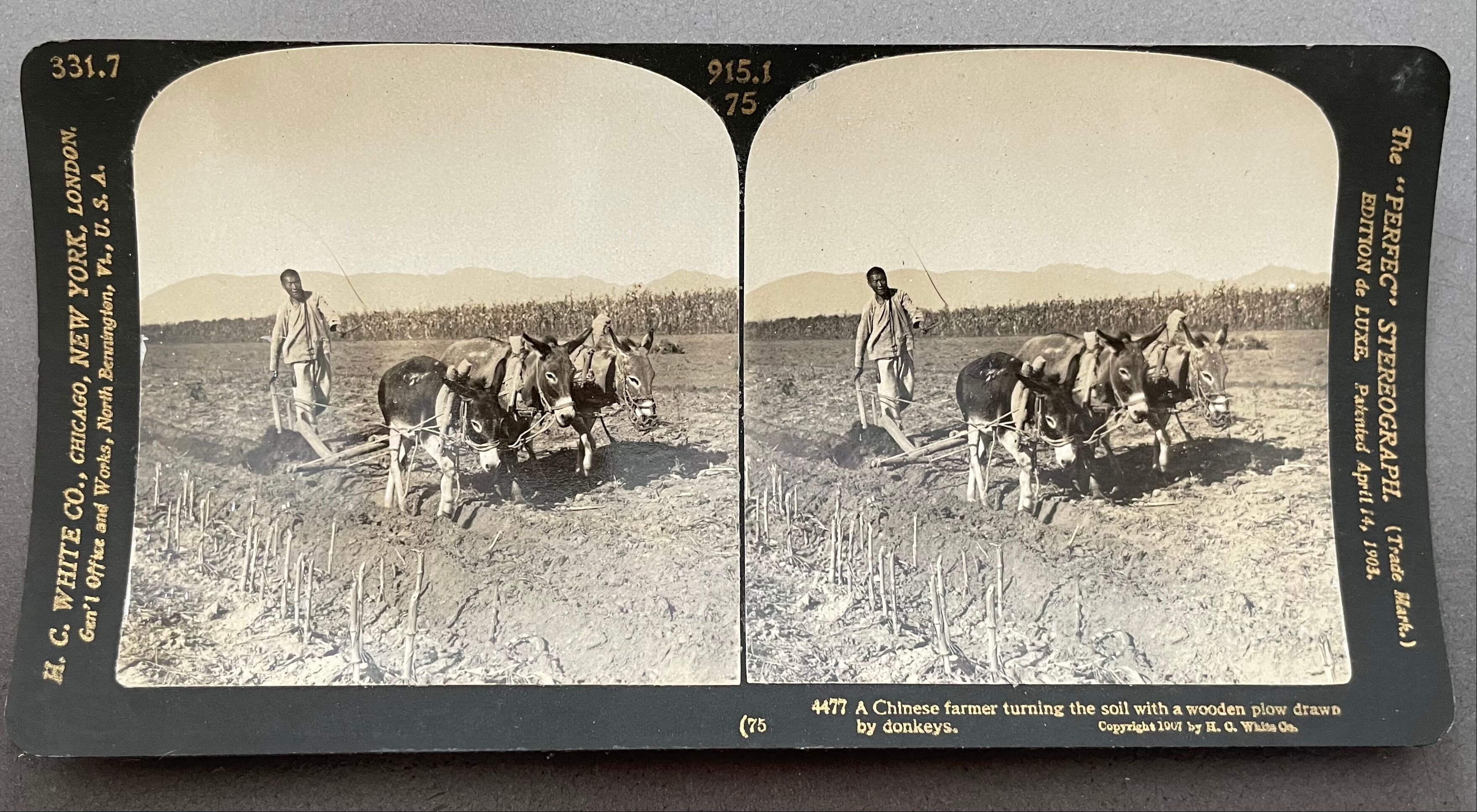 Old photography stereo, stereograph, luxury albumin 1903 Chinese farmer