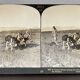 Photographie ancienne stereo, stereograph, luxe albumine 1903 fermier chinois