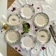 6 assiettes plates terre de fer faïence Sarreguemines Choisy le Roy