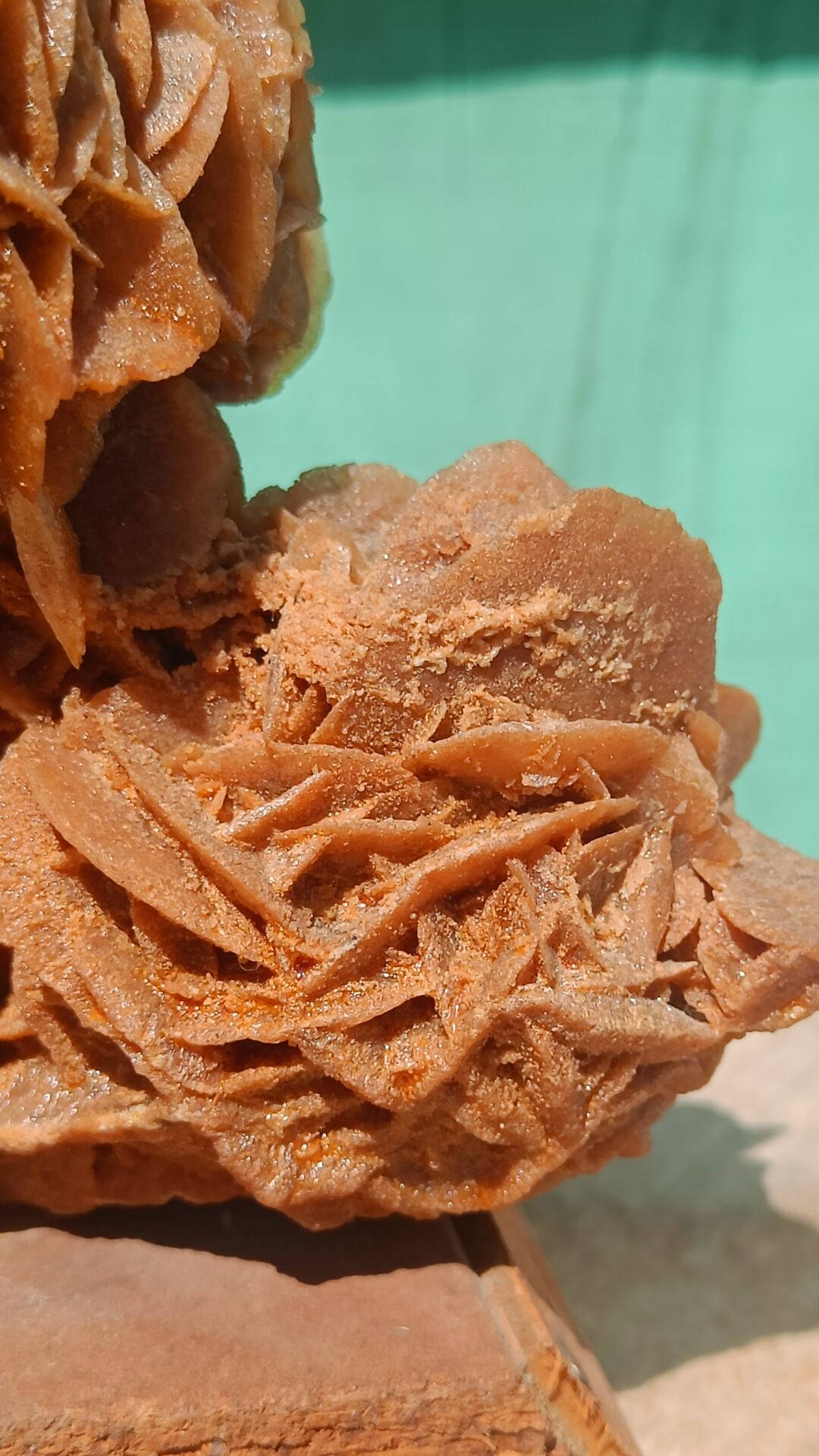 Rose des sables sur socle