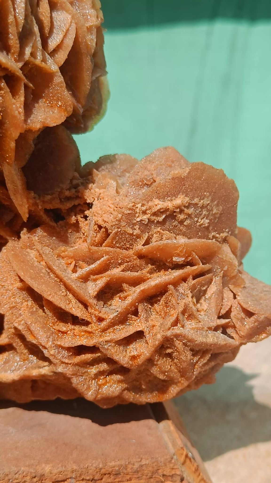 Rose des sables sur socle