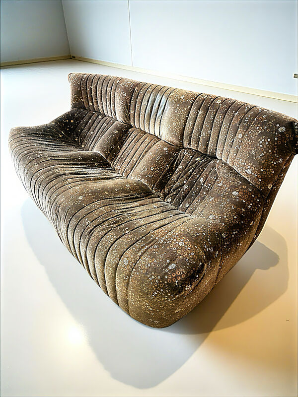 Salon complet ligne Roset Michel Ducaroy