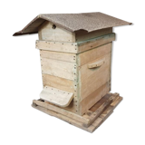 Ancient hive