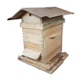 Ancient hive