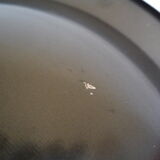 Pairs of lanterns year 50