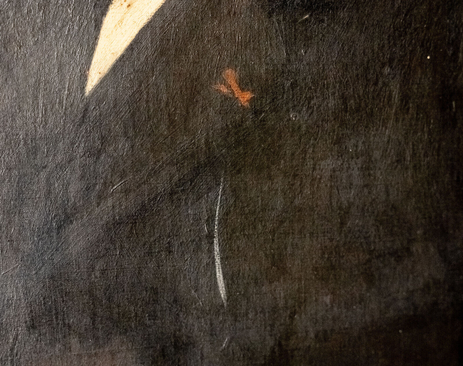 Oil on canvas portrait of bearded man XIXth Stamp Jerome Ottoz H