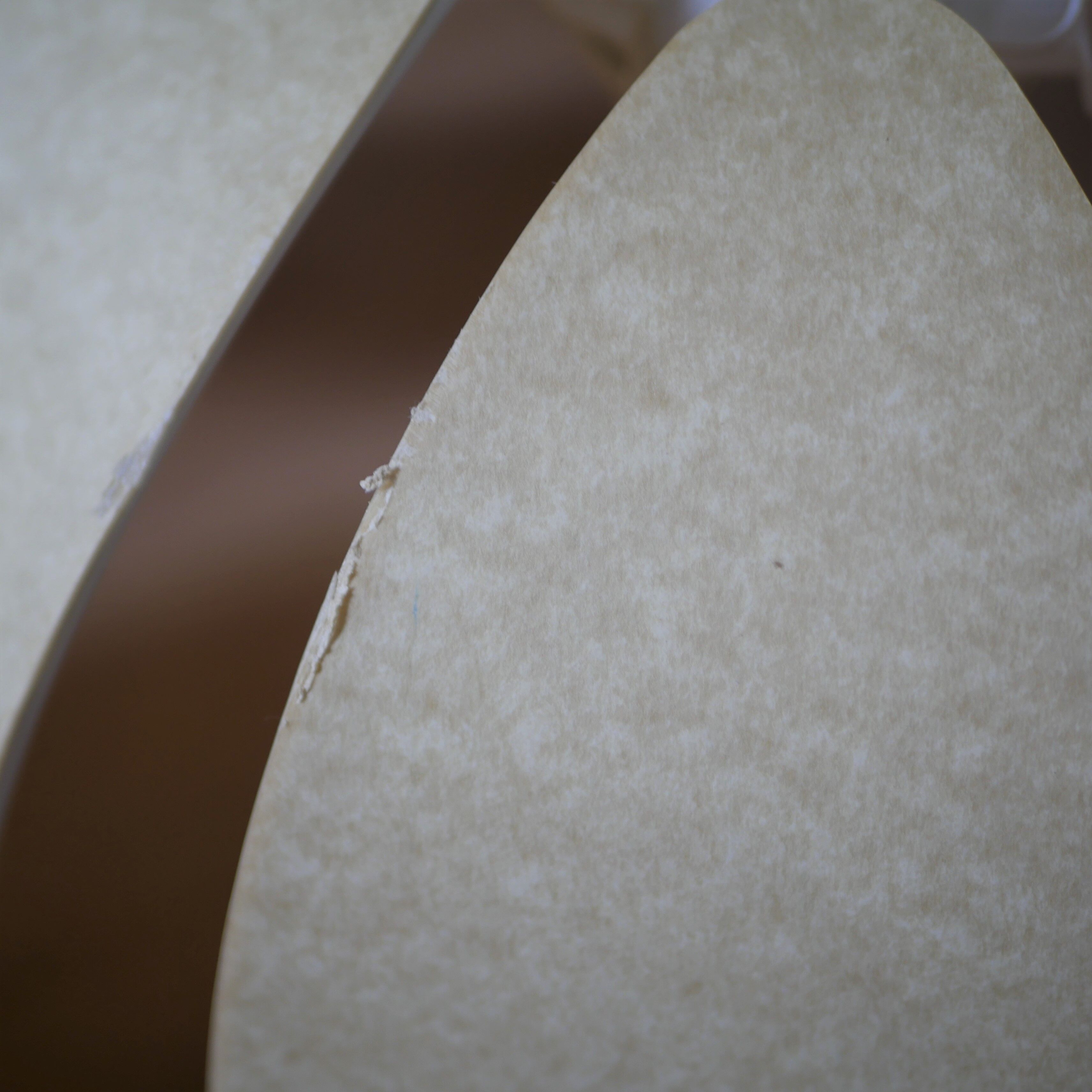 Vintage lotus flower hanging