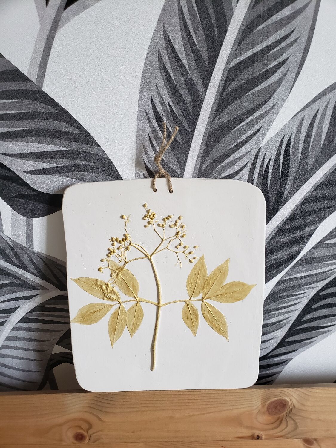 Plant table elderberry