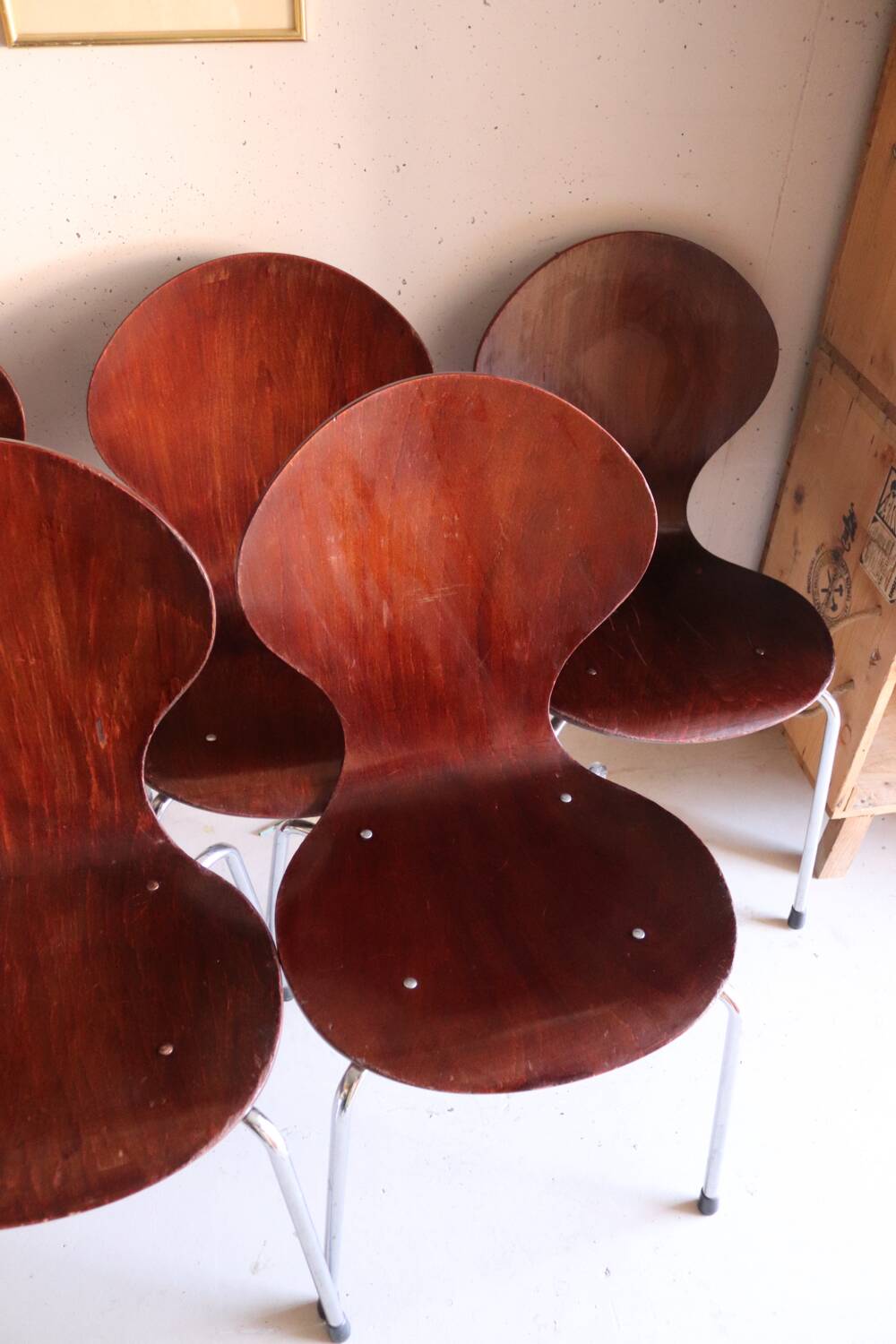 5 chaises style fourmi en contreplaqué moulé et métal chromé, esprit s