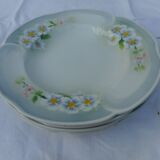 Set of five hollow earthenware plates