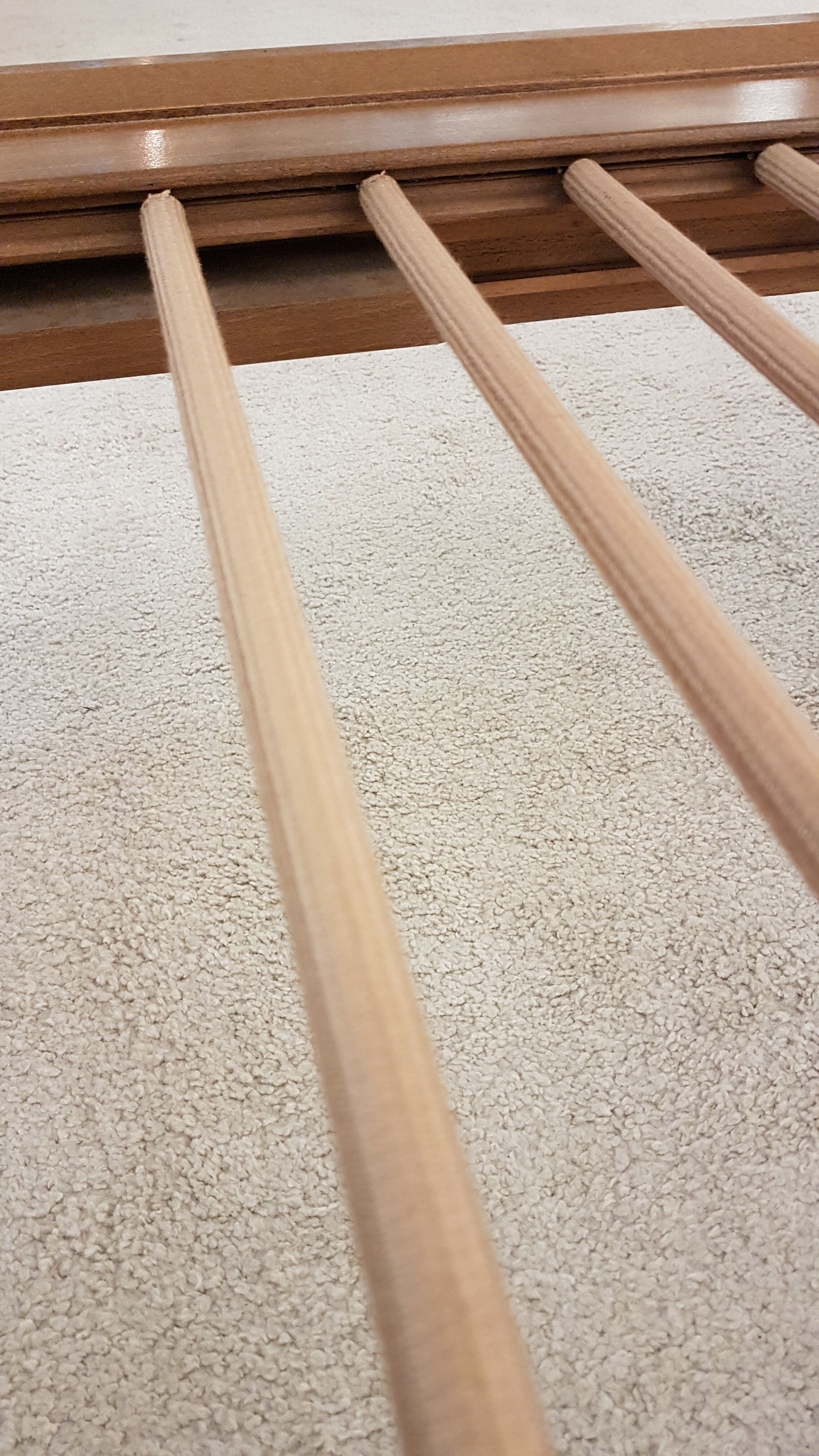 Daybed Knoll Antimott sofa