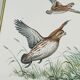 Dessous de Plat Villeroy & Boch Chasse au Chien d'Arrêt
