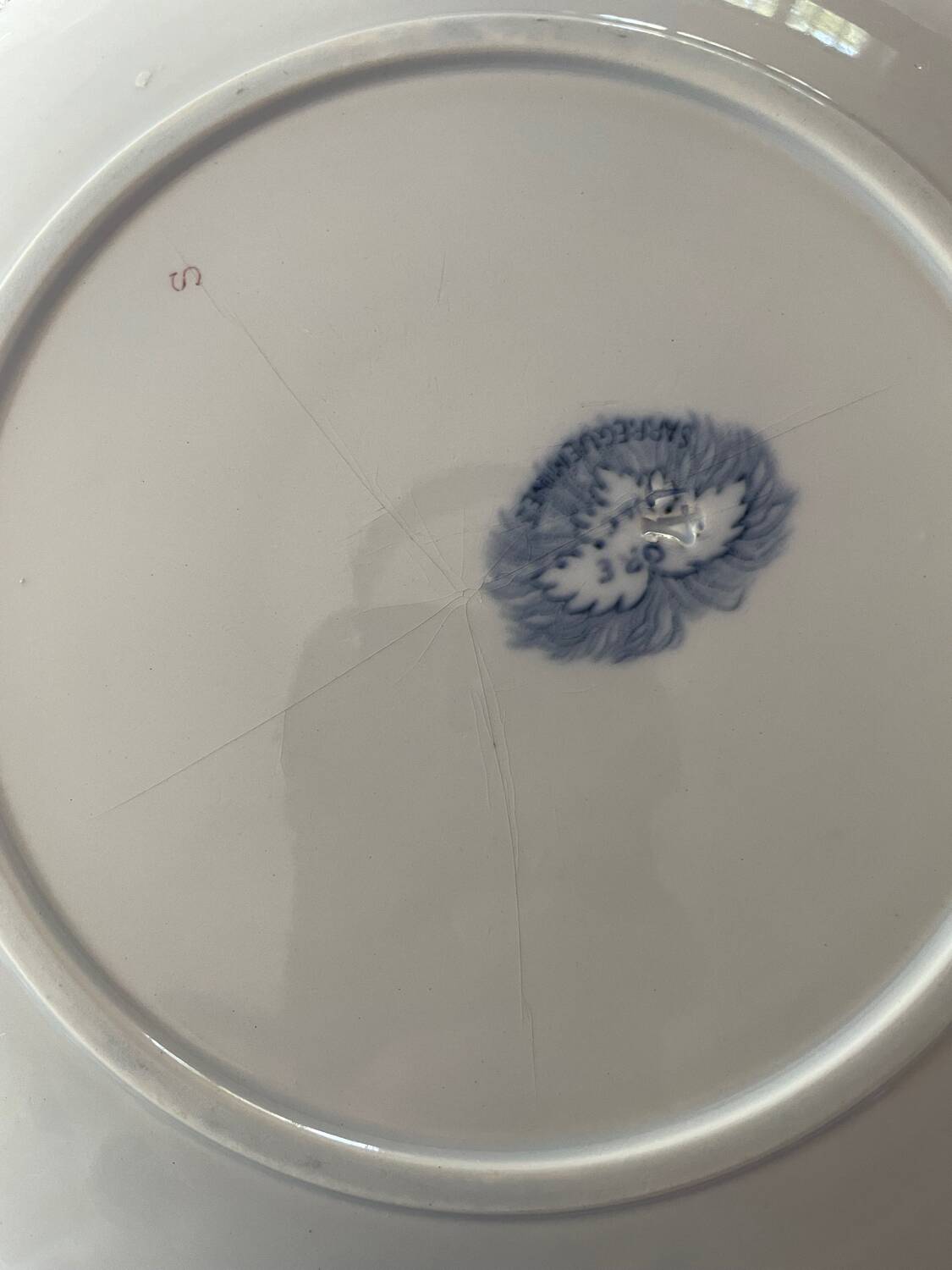 Flat plates and platter terre de fer sarreguemines uc flore model