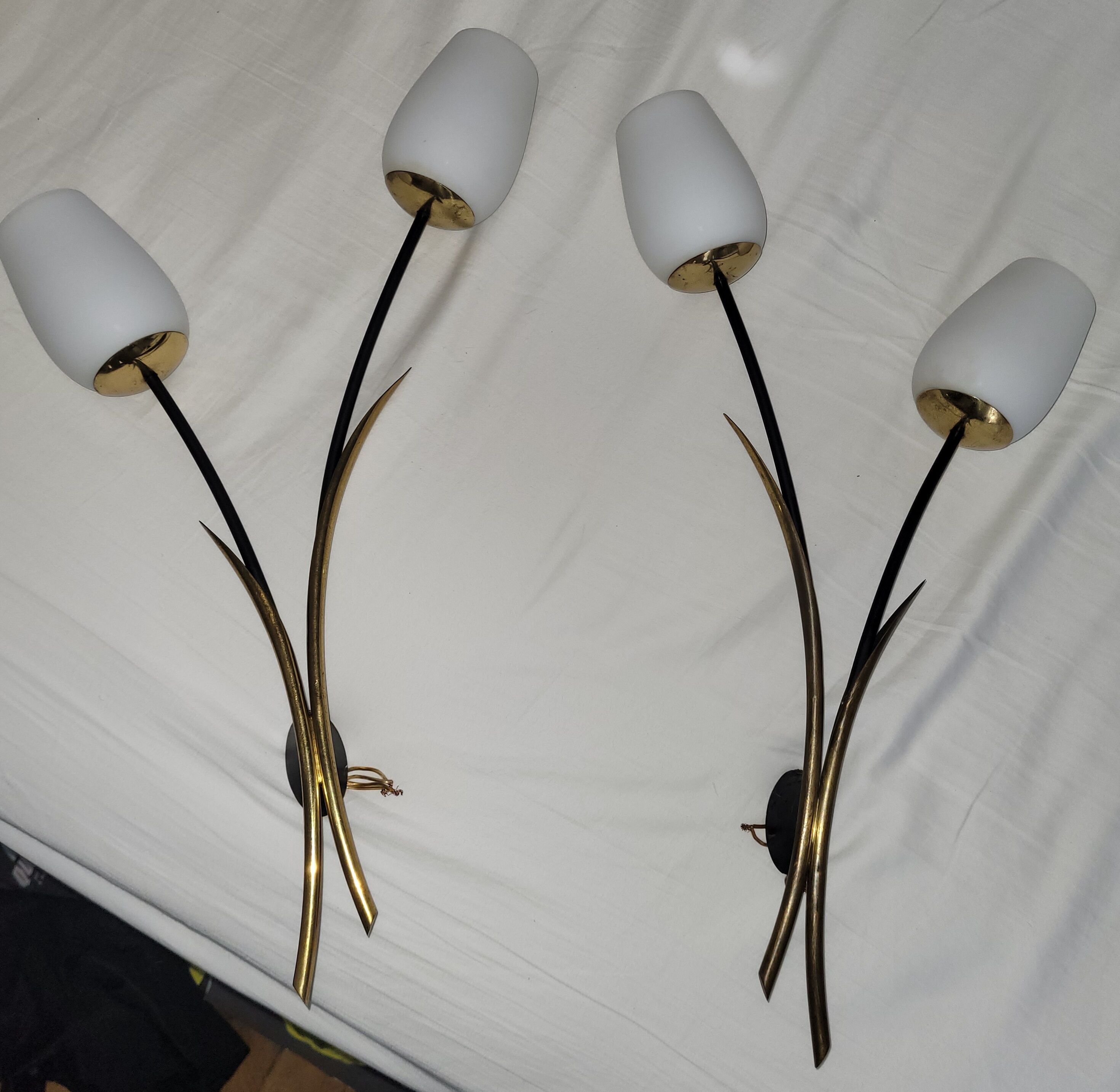 Paire appliques vintage Lunel roseaux 1960