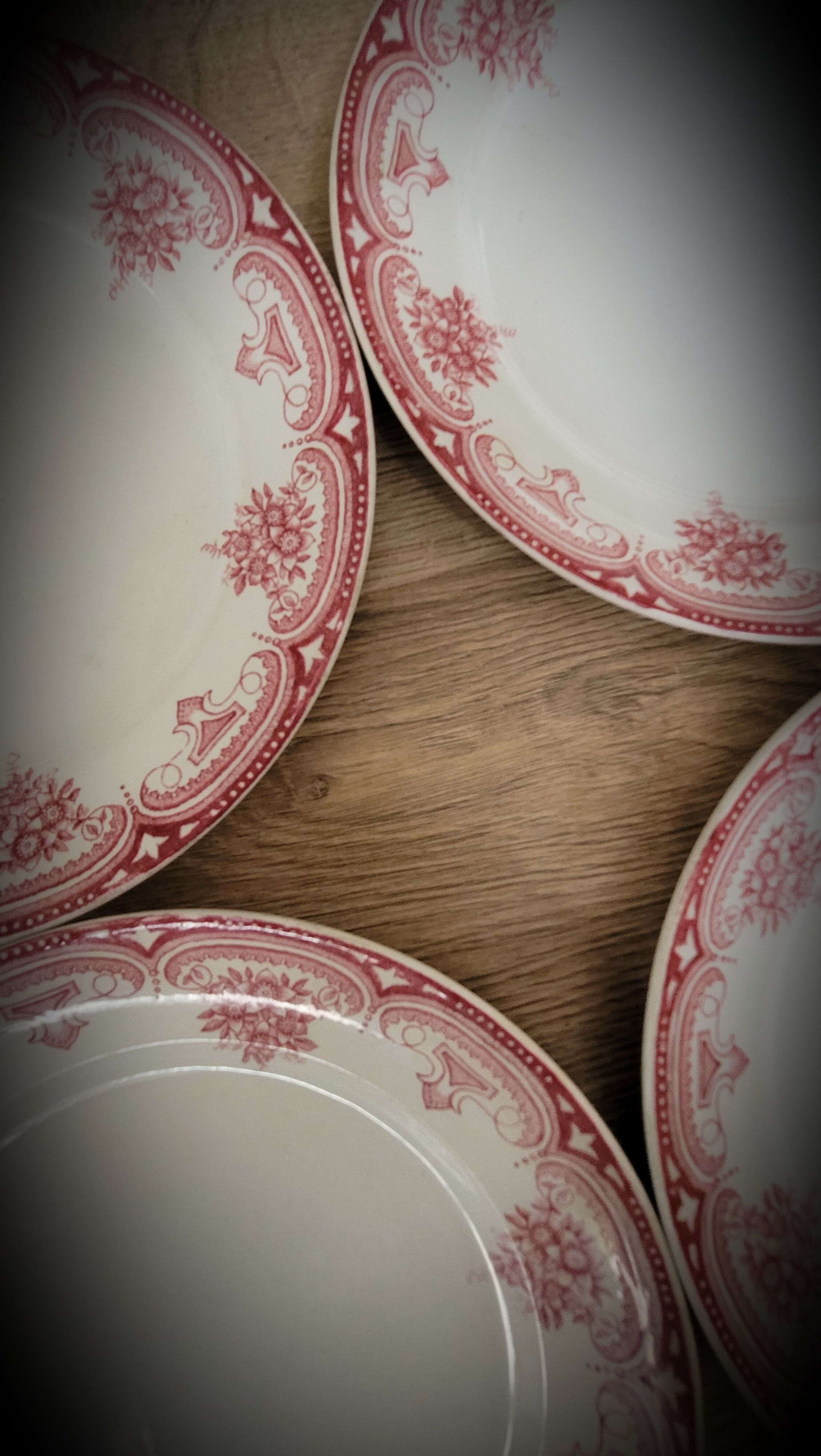 4 flat plates Narcissus
