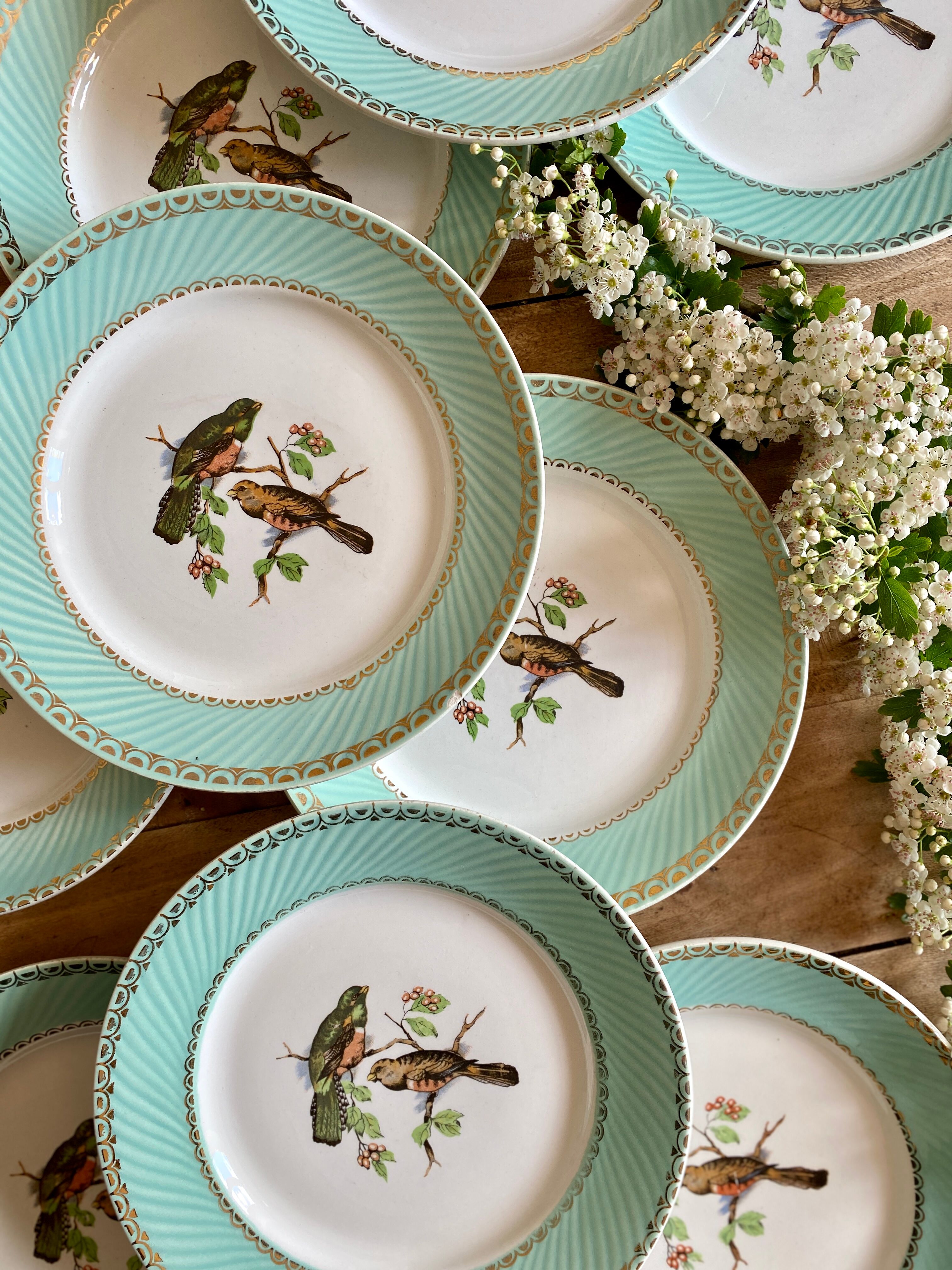 Set of 10 vintage flat plates with bird drawings