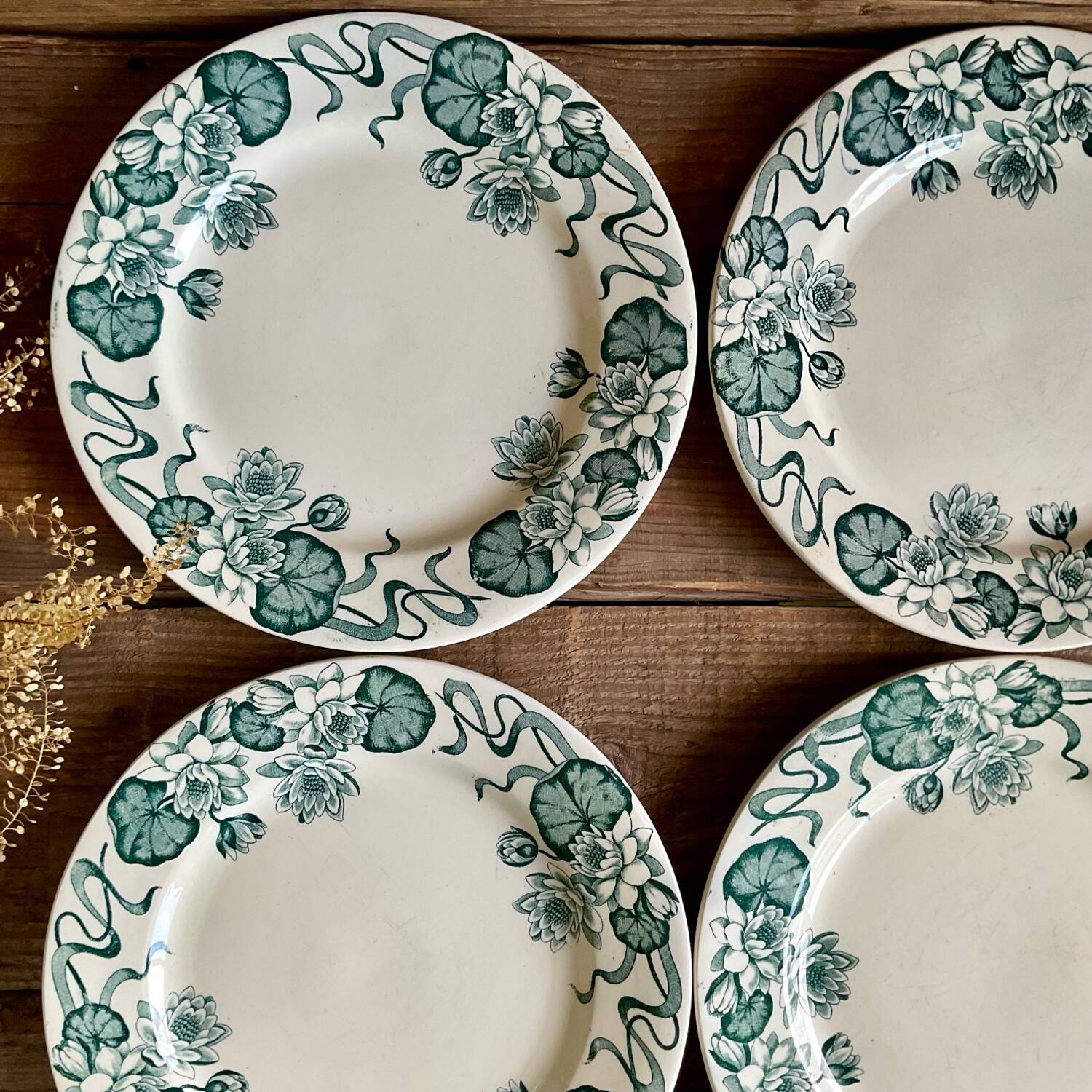 4 Nénuphar plates R & A Salins