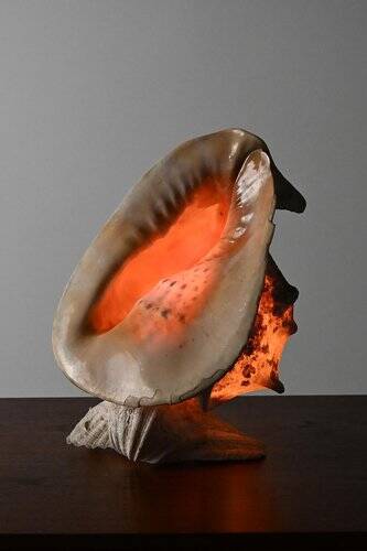Vintage Shell Lamp