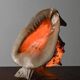 Vintage Shell Lamp