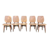 Set of 5 vintage chairs from the 50s