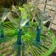 Cocktail glasses