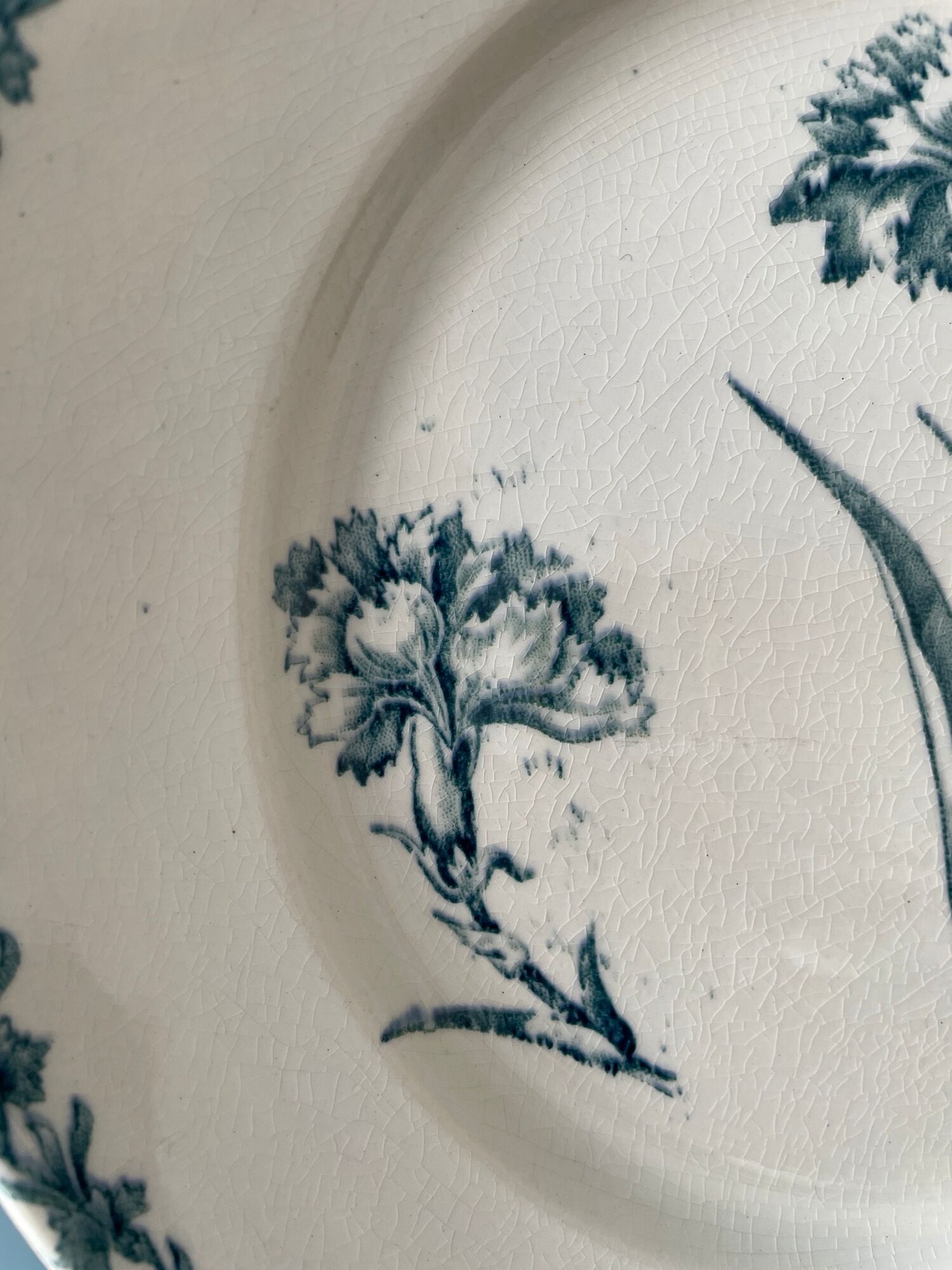 Set of 8 plates Terre de Fer 1900 K.G Lunéville, model "Carnation"
