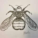 Set of 3 insect sketches
