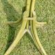 Coat rack parrot bamboo and rotion Roche Bobois Maugrion vintage 1970-80