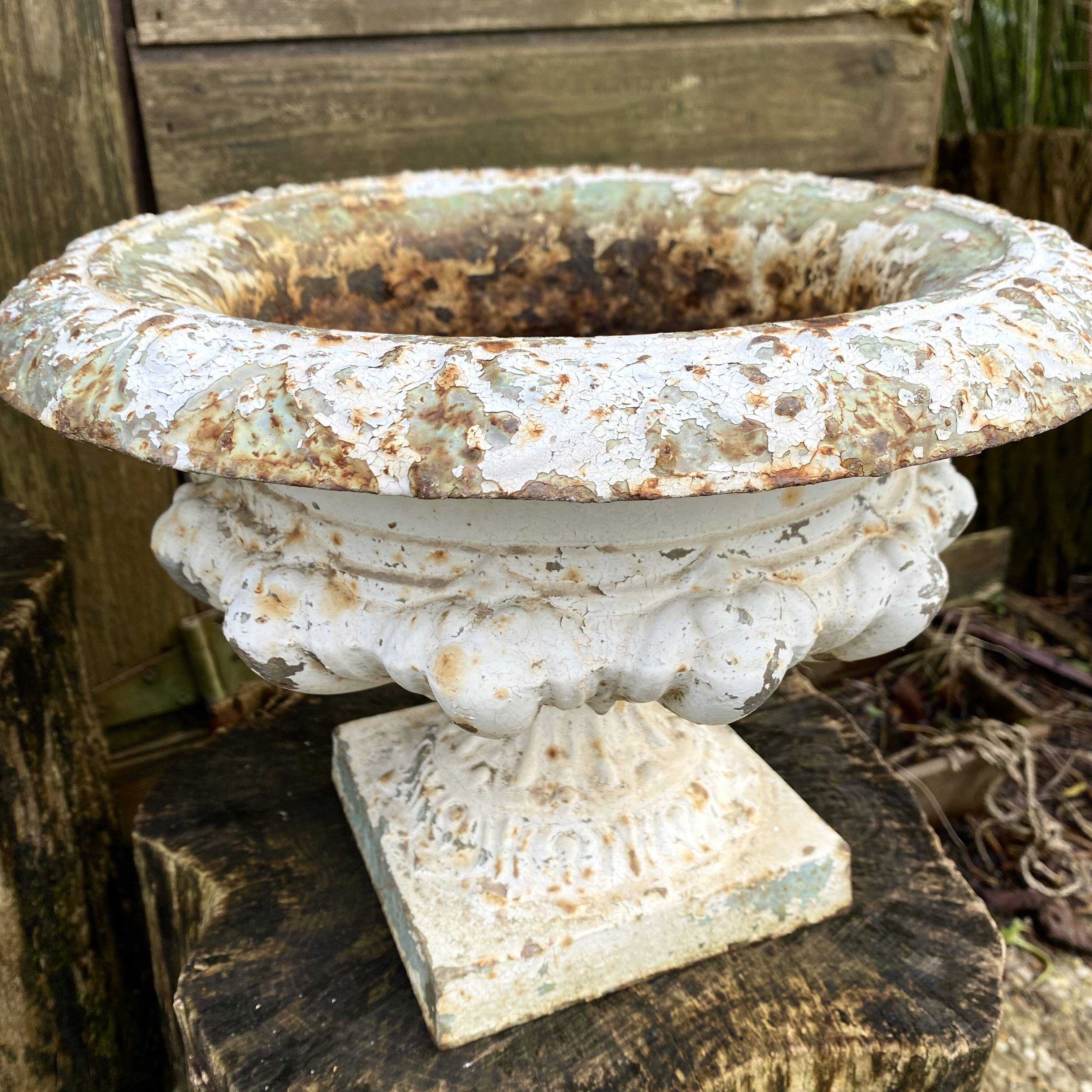 Médicis planters in cast iron old villa