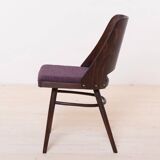 Set of 6 Dining Chairs by R. Hofman for TON, Model 514, 1960s, Reupholstered