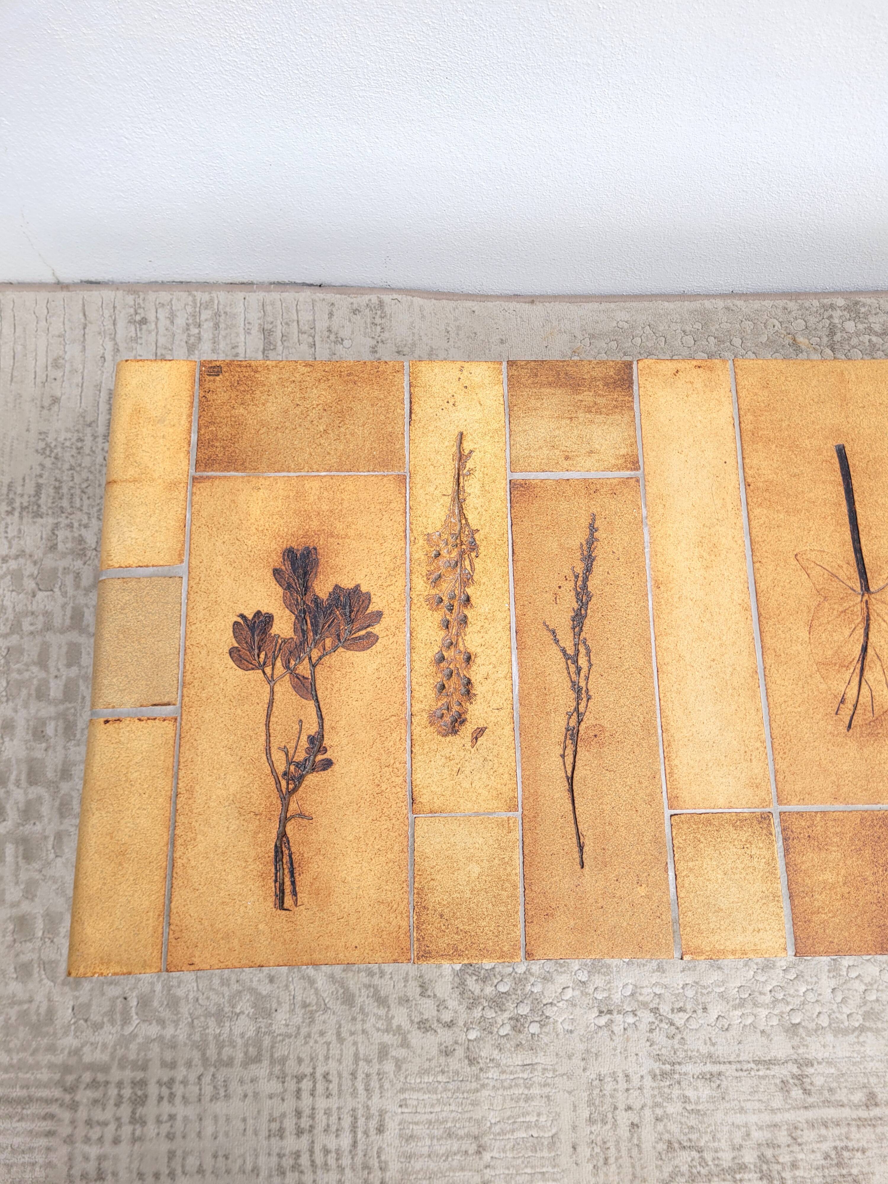 Coffee table Roger Capron Herbarium 1960