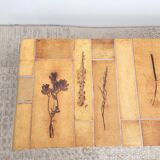 Coffee table Roger Capron Herbarium 1960