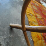 Coat rack rattan parrot