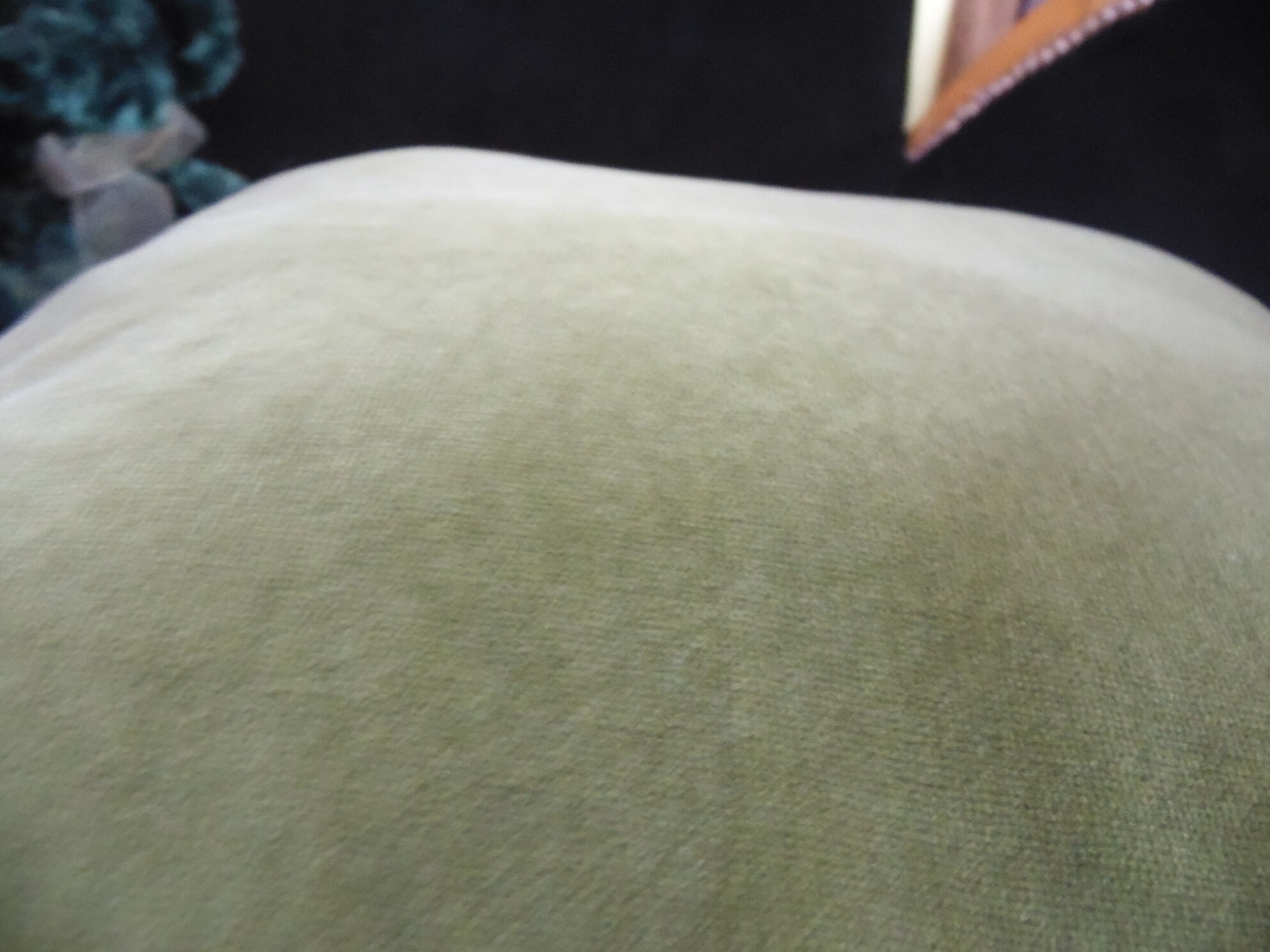 Khaki Green Velvet cushion