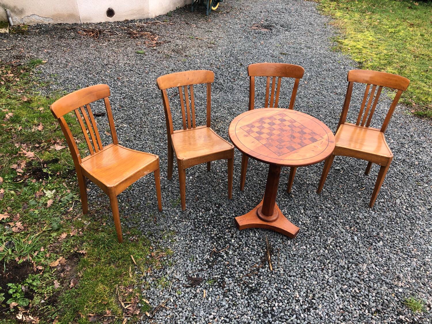 Stella chairs