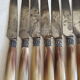 Box 12 dessert knives chatellerault horn handle